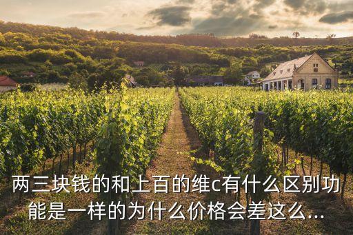 兩三塊錢(qián)的和上百的維c有什么區(qū)別功能是一樣的為什么價(jià)格會(huì)差這么...