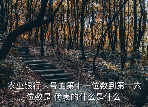 農(nóng)業(yè)銀行代表數(shù)字是多少