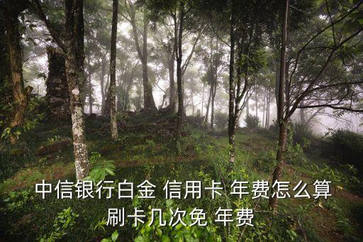  中信銀行白金 信用卡 年費怎么算刷卡幾次免 年費