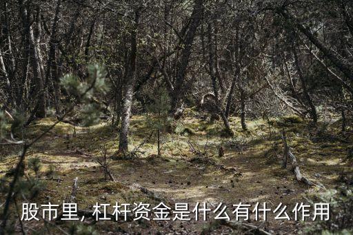 股市里, 杠桿資金是什么有什么作用
