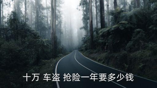 10萬元車盜搶險是多少