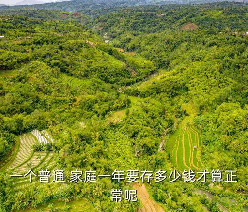 一個(gè)普通 家庭一年要存多少錢(qián)才算正常呢