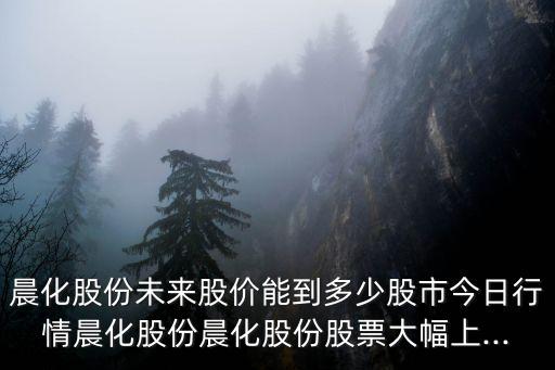 晨化股份未來股價能到多少股市今日行情晨化股份晨化股份股票大幅上...