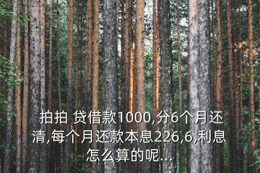  拍拍 貸借款1000,分6個月還清,每個月還款本息226,6,利息怎么算的呢...