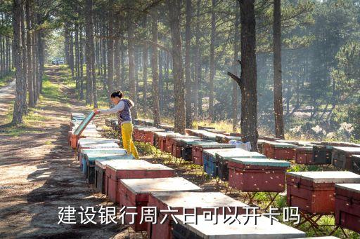 周末建行辦卡多少錢,新辦的建行卡密碼是多少
