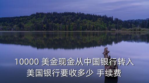 農業(yè)銀行匯美金手續(xù)費多少錢