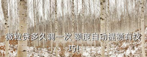 蘑菇街最高額度是多少