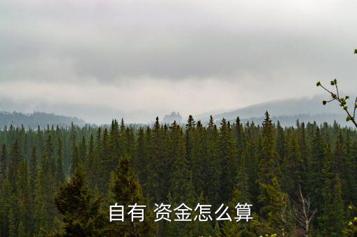 自有 資金怎么算