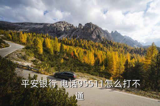  平安銀行 電話95511怎么打不通