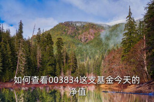如何查看003834這支基金今天的 凈值