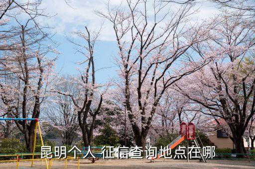 云南征信中心電話(huà)是多少,上海市征信中心電話(huà)