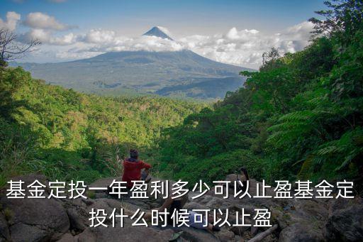 目標(biāo)贏定投設(shè)置多少,什么是目標(biāo)贏定投