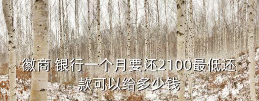 徽商 銀行一個(gè)月要還2100最低還款可以給多少錢