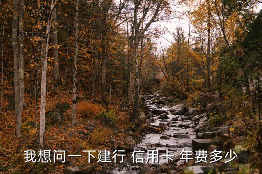 我想問(wèn)一下建行 信用卡 年費(fèi)多少