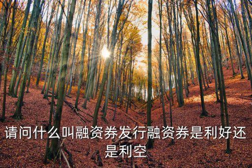 一投資券相當(dāng)于多少錢