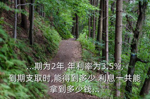 2千元年金銀行利息多少錢,存入銀行一億元年利息?