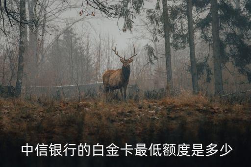 中信信用卡最底多少