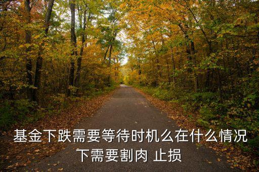  基金下跌需要等待時(shí)機(jī)么在什么情況下需要割肉 止損
