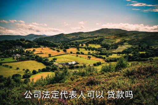 企業(yè)法人貸款能帶多少