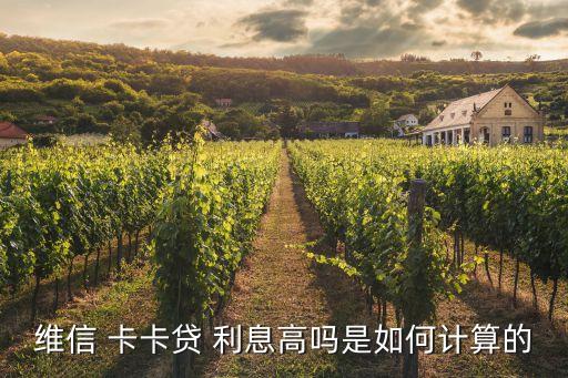 維信 卡卡貸 利息高嗎是如何計(jì)算的