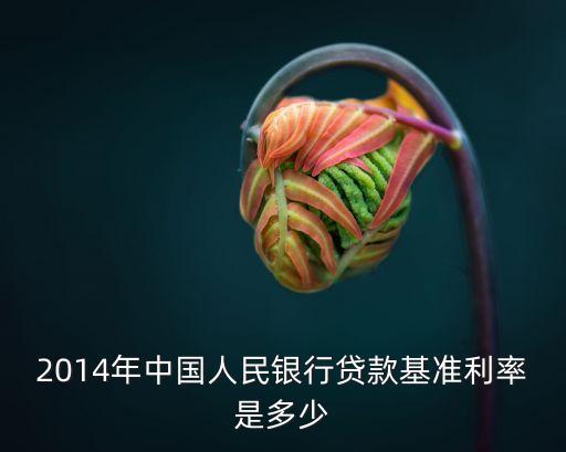 2014年房代利息是多少