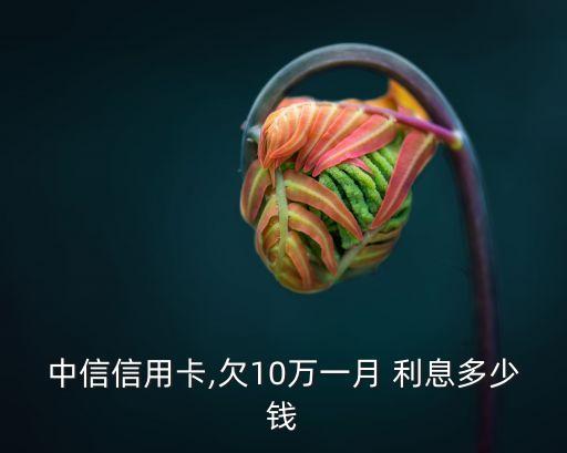 中信信用卡,欠10萬一月 利息多少錢