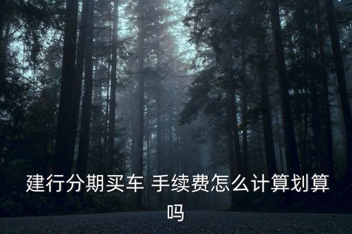  建行分期買車 手續(xù)費怎么計算劃算嗎