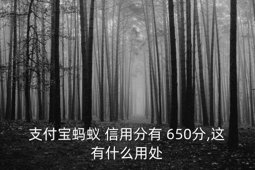 650分芝麻信用花唄額度是多少,芝麻信用650花唄開不了