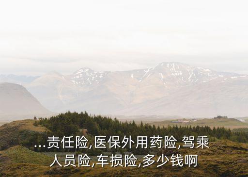 車輛人員險(xiǎn)買多少錢,車輛座位險(xiǎn)買多少合適
