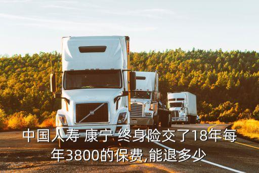 i康寧終身保險(xiǎn)多少年退保,中國(guó)人壽康寧終身保險(xiǎn)退保怎么計(jì)算