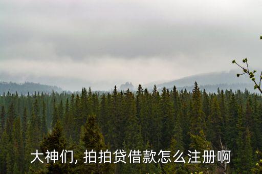 拍拍貸郵箱是多少,上海拍拍貸電話(huà)多少