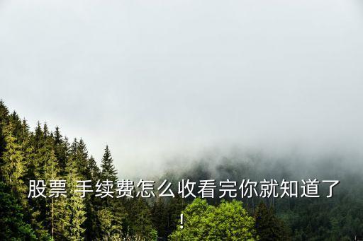 股票 手續(xù)費怎么收看完你就知道了!