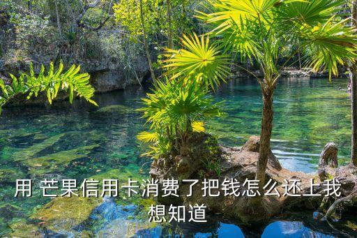 芒果銀行電話是多少錢,芒果tv客服的電話多少
