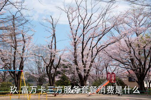 玖 富萬(wàn)卡三方服務(wù)套餐消費(fèi)是什么