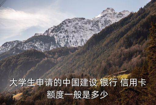 中國發(fā)行信用卡的銀行有多少錢