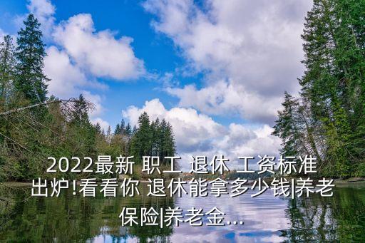 2022最新 職工 退休 工資標(biāo)準(zhǔn)出爐!看看你 退休能拿多少錢|養(yǎng)老保險|養(yǎng)老金...