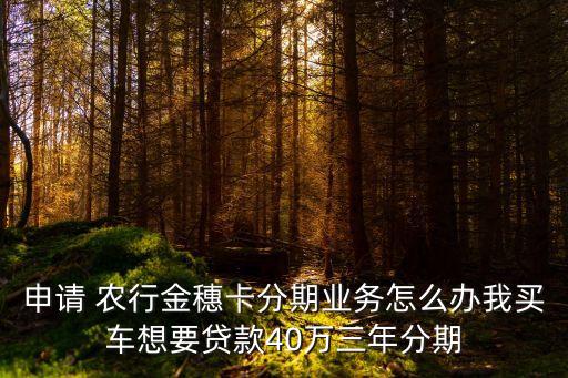 申請 農(nóng)行金穗卡分期業(yè)務(wù)怎么辦我買車想要貸款40萬三年分期