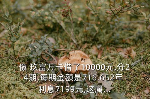 玖富分期利息多少,信用卡分期利息多少