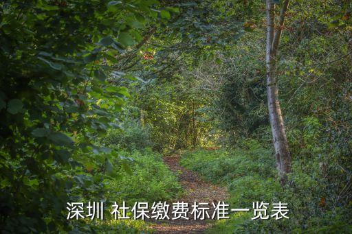 深圳社保交費(fèi)基數(shù)是多少錢