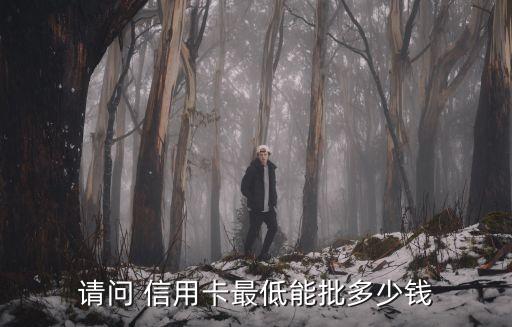 請問 信用卡最低能批多少錢