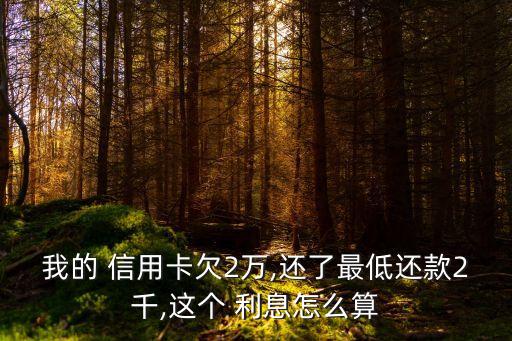 信用卡欠款2w每月利息多少錢,人死后信用卡欠款利息