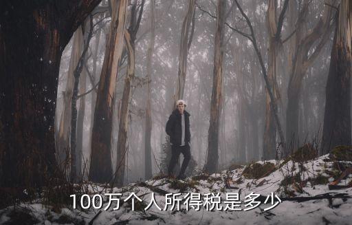 100萬個人所得稅是多少