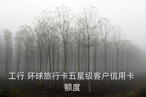 工行 環(huán)球旅行卡五星級(jí)客戶信用卡 額度