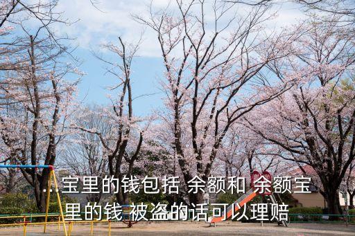 ...寶里的錢包括 余額和 余額寶里的錢 被盜的話可以理賠