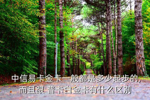  中信易卡金卡一般都是多少起步的,而且跟 普卡白金卡有什么區(qū)別