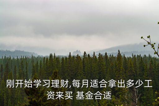 剛開(kāi)始學(xué)習(xí)理財(cái),每月適合拿出多少工資來(lái)買 基金合適