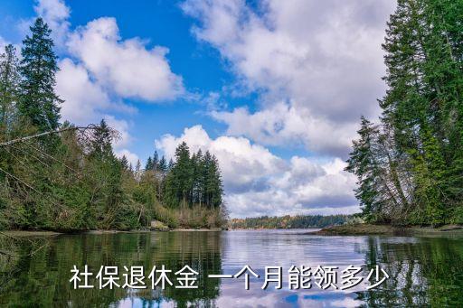 養(yǎng)老保險工資拿多少錢一個月,內蒙古養(yǎng)老保險工資多少錢