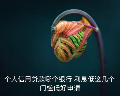 個人信用貸款哪個銀行 利息低這幾個門檻低好申請