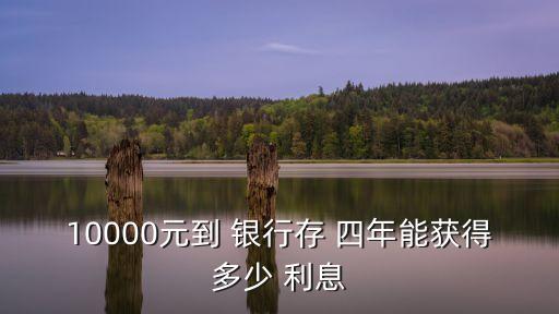 10000元到 銀行存 四年能獲得多少 利息