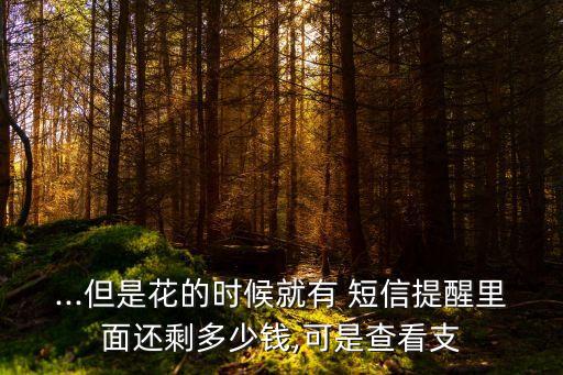 ...但是花的時(shí)候就有 短信提醒里面還剩多少錢,可是查看支